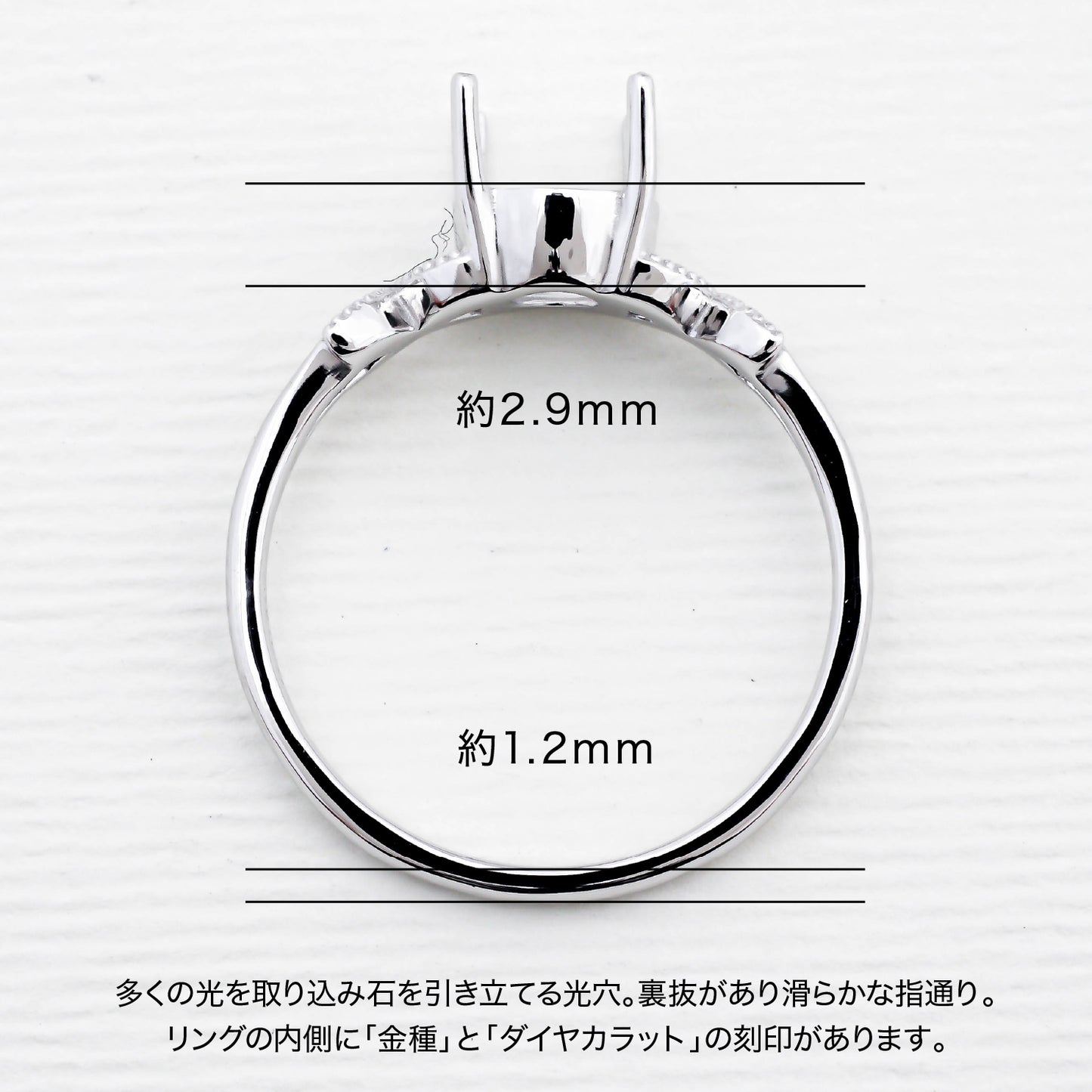 【空枠】6.0mm丸 リング | wkcor-313