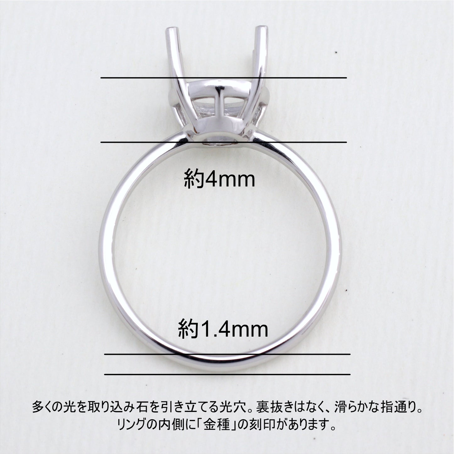 【空枠】8mm丸 リング | wkcor-651