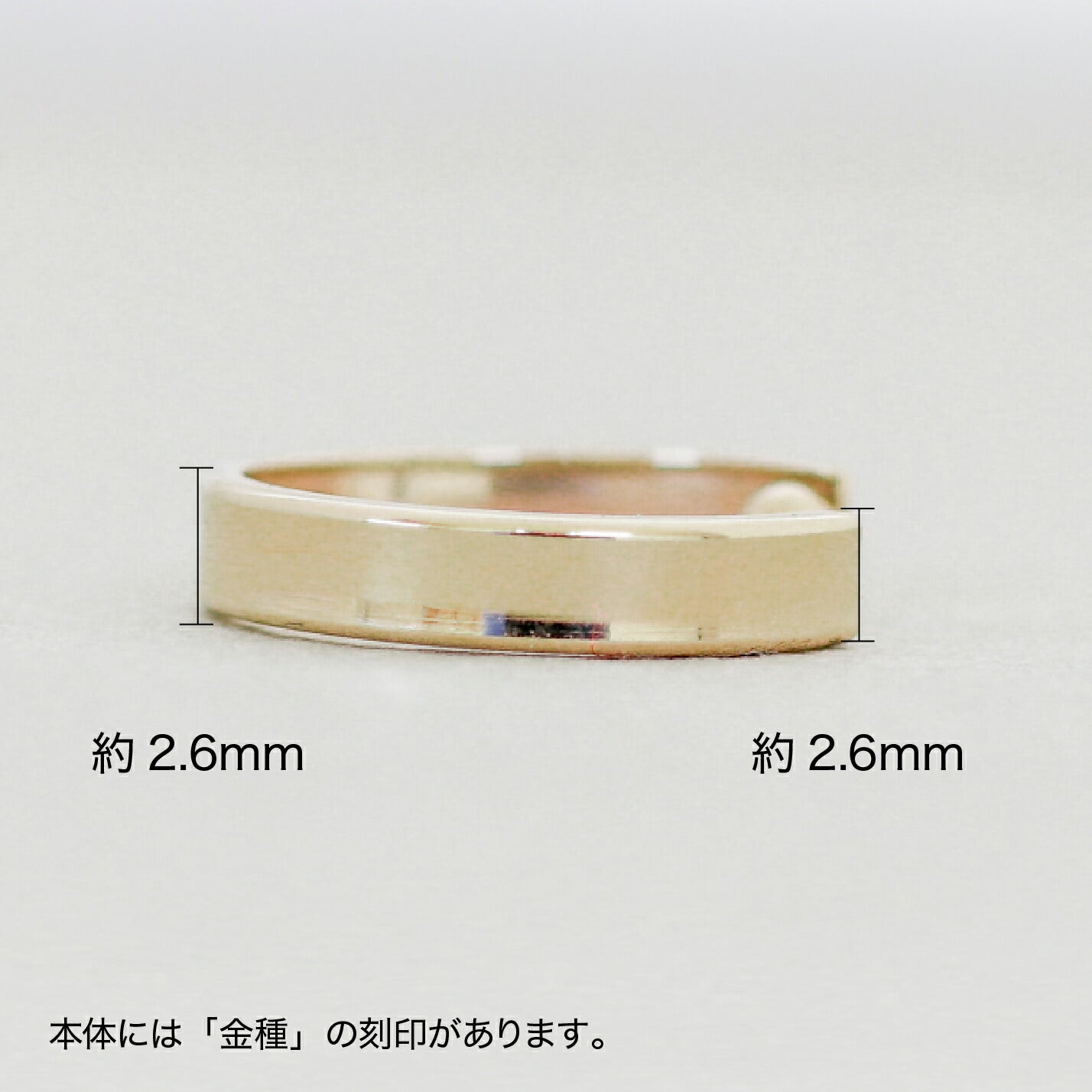 イヤーカフ イヤカフ | ae23