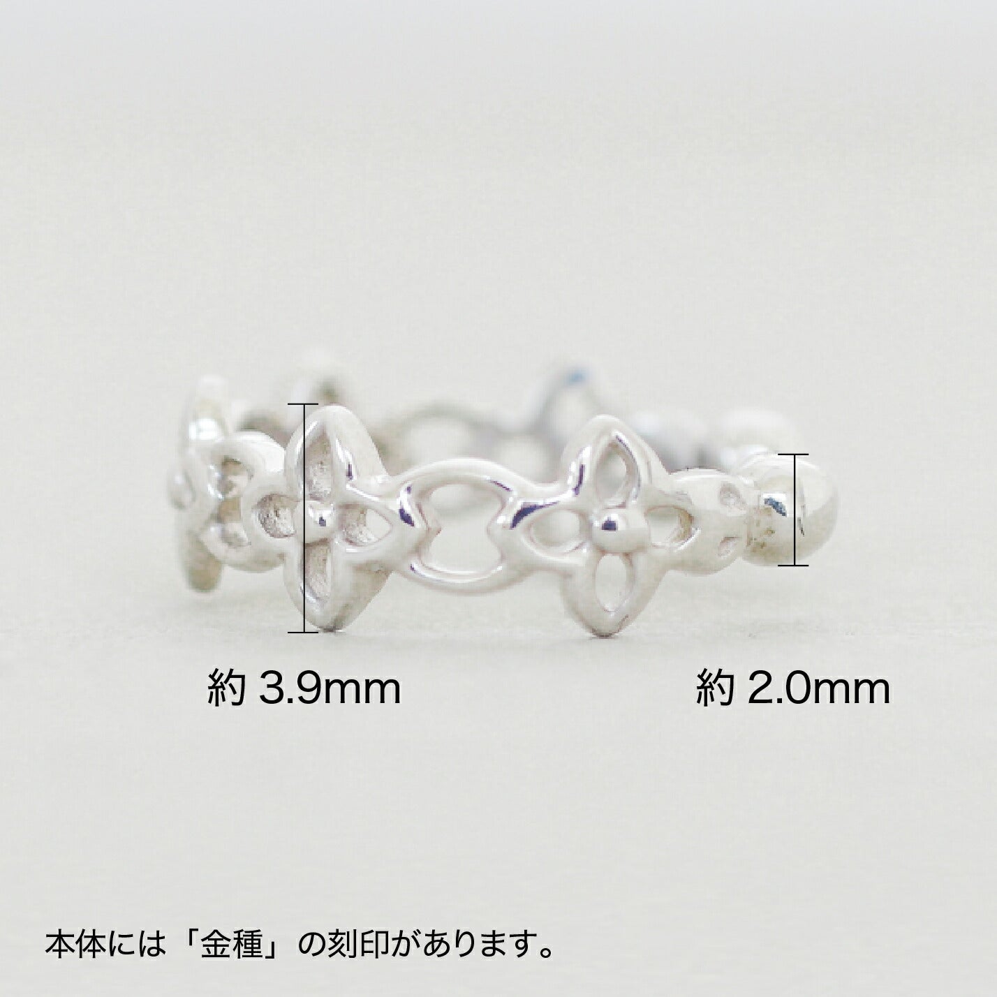 イヤーカフ イヤカフ | cp3547