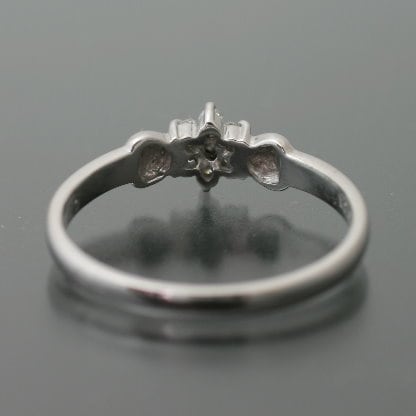 ダイヤモンドリング | dr5010