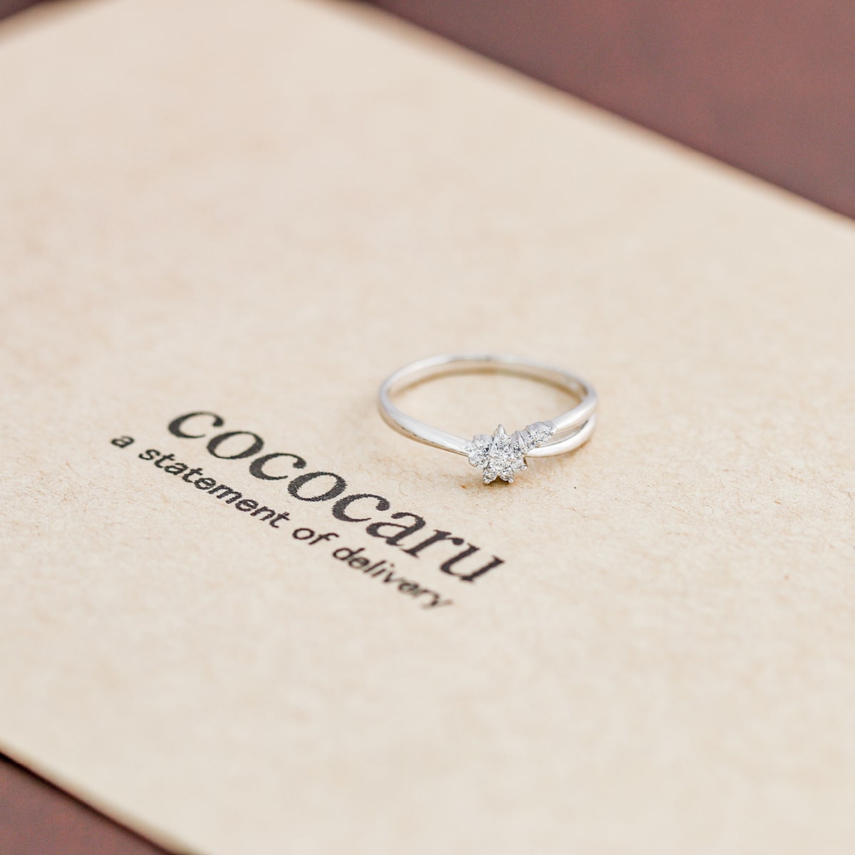 ダイヤモンドリング | dr6595